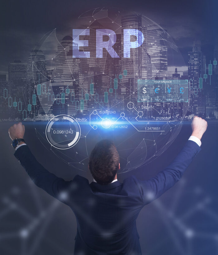 Eraneos Blog IT Advisory | ERP Methodik und Projektmanagement 